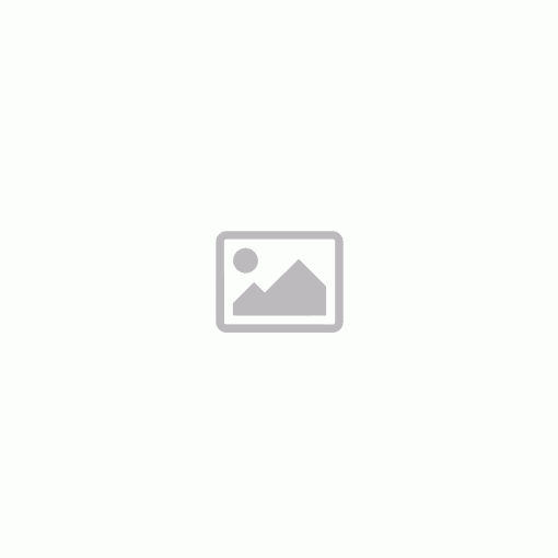 4CH*5A 12-24VDC PWM Dimmer D4-L, DMX512