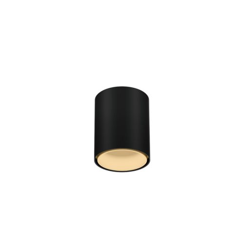RAY MINI CEILING SURF 1.0 LED 3000K B-M