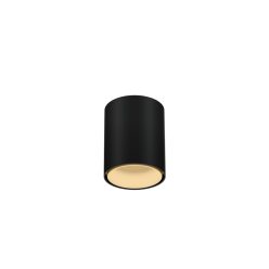 RAY MINI CEILING SURF 1.0 LED 1800-3000K B-M