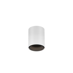 RAY MINI CEILING SURF 1.0 LED 2700K W-B