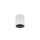 RAY MINI CEILING SURF 1.0 LED 2700K W-B