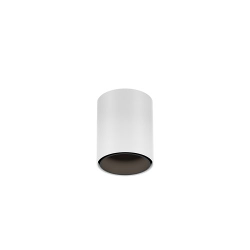 RAY MINI CEILING SURF 1.0 LED 3000K W-B