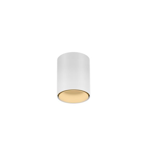 RAY MINI CEILING SURF 1.0 LED 2700K W-M