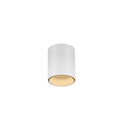 RAY MINI CEILING SURF 1.0 LED 1800-3000K W-M