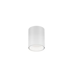 RAY MINI CEILING SURF 1.0 LED 1800-3000K W-W